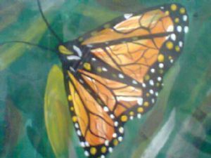 "Lovely Butterfly for You My Love"