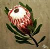 "Protea 1"