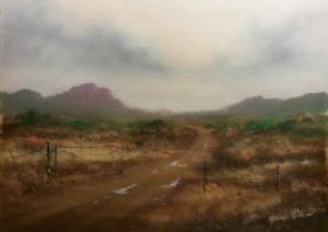 "Karoo Rainy Day"