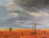 "Bushveld Thunder Sky "