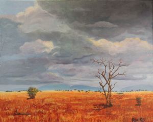 "Bushveld Thunder Sky "