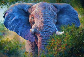 "Look me in the eyes