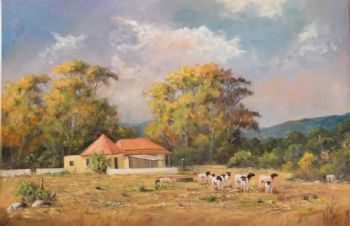 "Sheep farm West Cape"