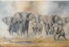 "The Herd"