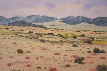 "Namaqualand Scene, Goegap Nature Reserve 1"