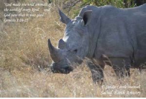"Kruger National Park Rhino 03 with Scripture"