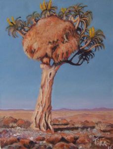 "Quiver Tree with Weavers Nest"