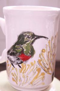 "Lesser Double Collared Sunbird"