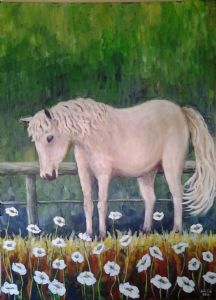 "Pony in a Poppy Field"