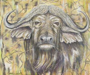 " African Buffalo Grumpy. Print"