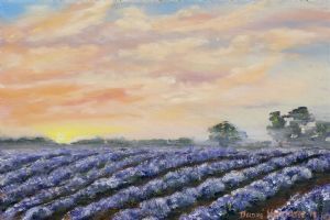 "Lavender Fields"