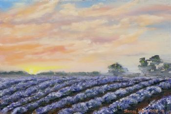 "Lavender Fields"
