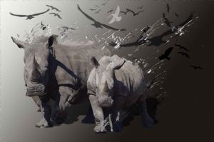 "Rhino and Calf"