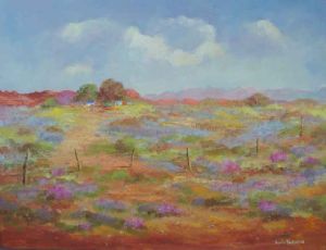 "The Karoo Can Be Beautiful"