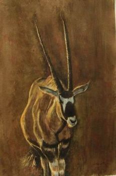 "Oryx"