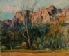 "Boland Mountains No.2 Ref 354"