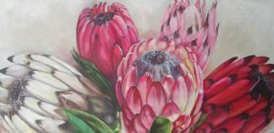 "Proteas in bloom"