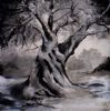"Olive Tree"