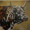 "Nguni Colours"