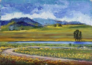 "Summer in the Drakensberg"