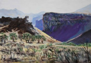 "Scene at Golden Gate"