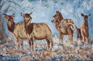 "Vigilant elk"