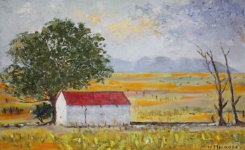 "Spring near Hondeklipbaai"