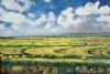 "Grass Rolls Eastern Free State"