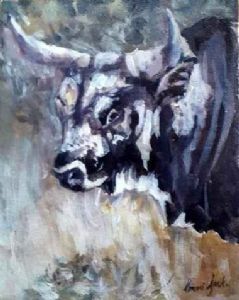 "Nguni Bull"