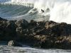 "Surfer Shark Rock"