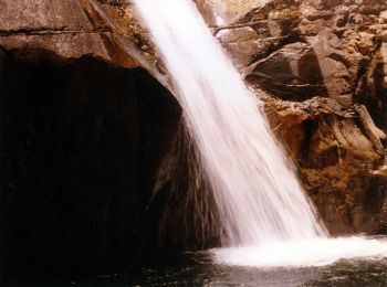 "Waterfall"