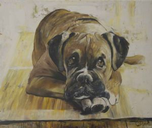 "Little Boxer"