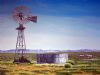 "Windmill Near Swellendam - Farm with Sheep"