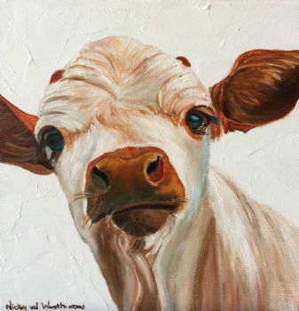 "Nguni Calf"