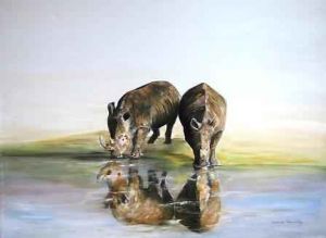 "Rhino Reflections"