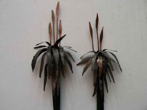 "Two Aloes "