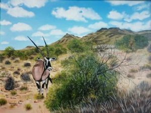 "Lammertjies Leegte (Karoo National Park)"