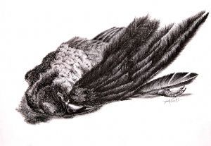 "Crow's Feet"