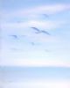 "Seven Gulls"