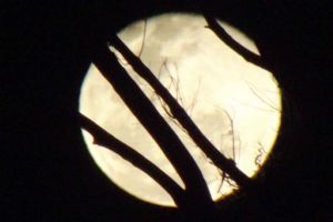 "Blue Moon 2"