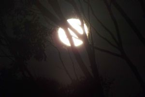 "Blue Moon 1"
