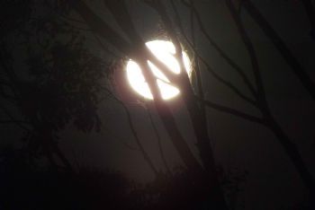 "Blue Moon 1"