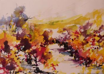 "Stellenbosch Hills"