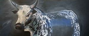 "Nguni Bull"