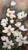 "Magnolias"