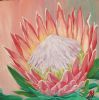 "King Protea"