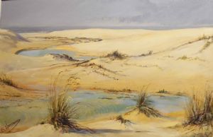 "Beach Dunes - Port Alfred"