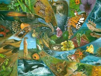 "The Magnitude and Multitude of Creation"