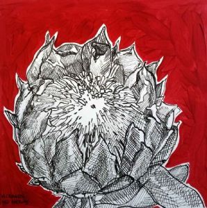 "Table Mountain Fynbos 4"