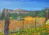 "Flowers in Bloom in Potsberg Nature Reserve"